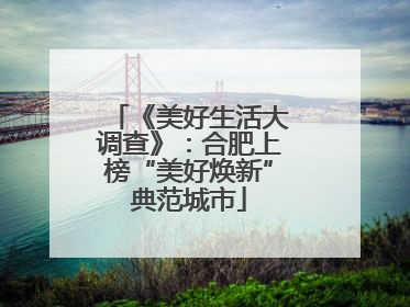 《美好生活大调查》：合肥上榜“美好焕新”典范城市