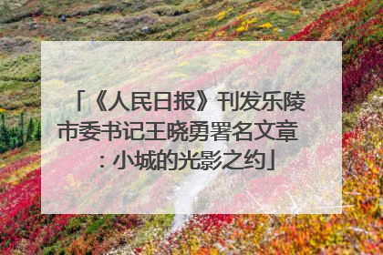 《人民日报》刊发乐陵市委书记王晓勇署名文章：小城的光影之约