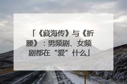 《藏海传》与《折腰》：男频剧、女频剧都在“爱”什么