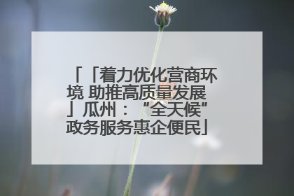 「着力优化营商环境 助推高质量发展」瓜州：“全天候”政务服务惠企便民