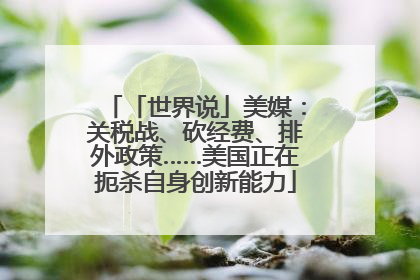「世界说」美媒：关税战、砍经费、排外政策……美国正在扼杀自身创新能力