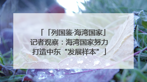 「列国鉴·海湾国家」记者观察：海湾国家努力打造中东“发展样本”