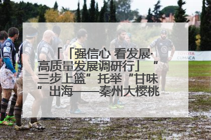 「强信心 看发展·高质量发展调研行」“三步上篮”托举“甘味”出海——秦州大樱桃高质量发展动作分解