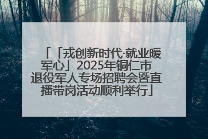 「戎创新时代·就业暖军心」2025年铜仁市退役军人专场招聘会暨直播带岗活动顺利举行