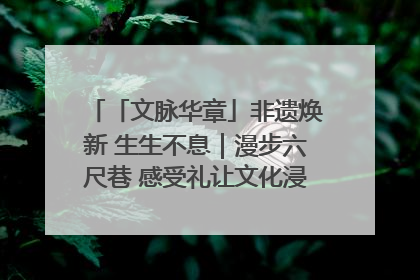 「文脉华章」非遗焕新 生生不息｜漫步六尺巷 感受礼让文化浸润的“巷”往生活