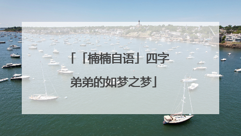 「楠楠自语」四字弟弟的如梦之梦