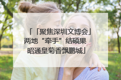 「聚焦深圳文博会」两地“牵手”结硕果 昭通皇菊香飘鹏城