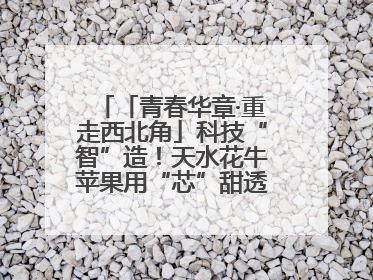 「青春华章·重走西北角」科技“智”造！天水花牛苹果用“芯”甜透你的味蕾