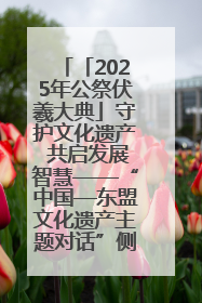「2025年公祭伏羲大典」守护文化遗产 共启发展智慧——“中国—东盟文化遗产主题对话”侧记