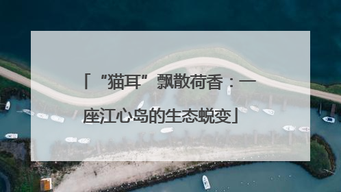 “猫耳”飘散荷香：一座江心岛的生态蜕变