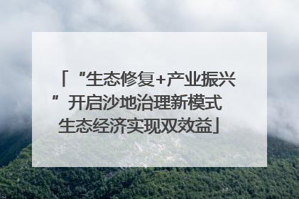 “生态修复+产业振兴”开启沙地治理新模式 生态经济实现双效益
