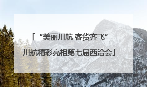 “美丽川航 客货齐飞” 川航精彩亮相第七届西洽会