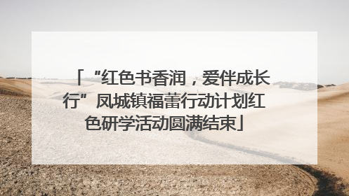 “红色书香润，爱伴成长行”凤城镇福蕾行动计划红色研学活动圆满结束