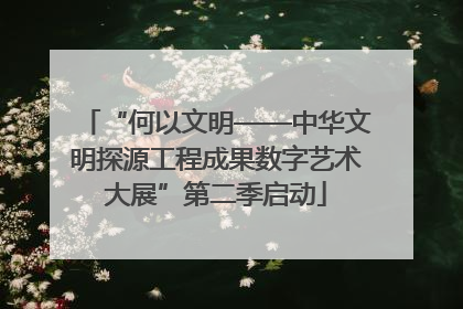 “何以文明——中华文明探源工程成果数字艺术大展”第二季启动