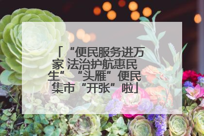 “便民服务进万家 法治护航惠民生”“头雁”便民集市“开张”啦