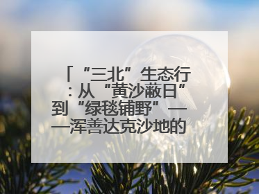 “三北”生态行：从“黄沙蔽日”到“绿毯铺野”——浑善达克沙地的“绿色重生”