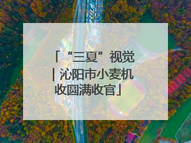 “三夏”视觉｜沁阳市小麦机收圆满收官