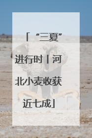 “三夏”进行时丨河北小麦收获近七成