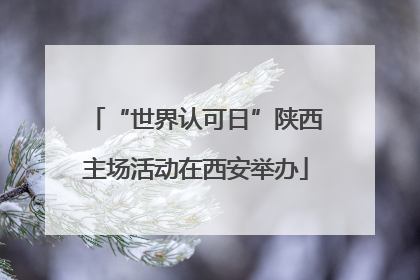 “世界认可日”陕西主场活动在西安举办