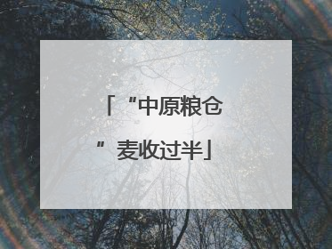 “中原粮仓”麦收过半