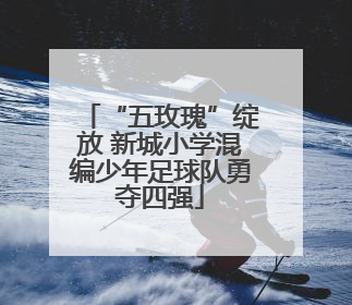 “五玫瑰”绽放 新城小学混编少年足球队勇夺四强