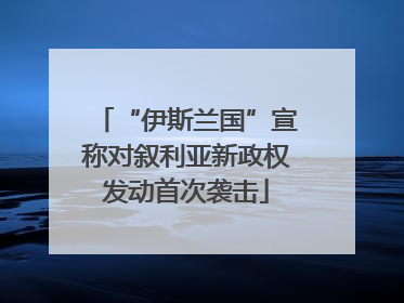 “伊斯兰国”宣称对叙利亚新政权发动首次袭击