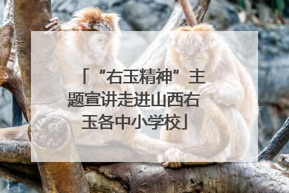 “右玉精神”主题宣讲走进山西右玉各中小学校