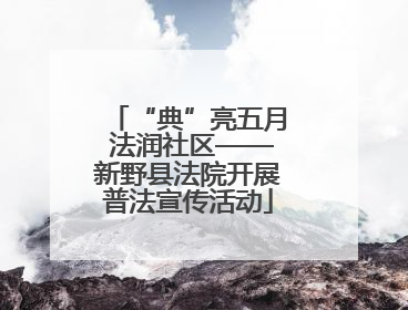“典”亮五月 法润社区——新野县法院开展普法宣传活动