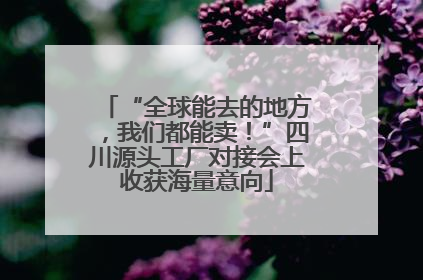 “全球能去的地方，我们都能卖！”四川源头工厂对接会上收获海量意向