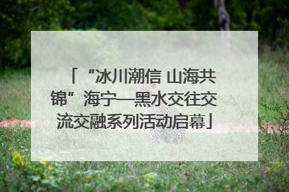 “冰川潮信 山海共锦”海宁—黑水交往交流交融系列活动启幕
