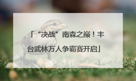 “决战”南森之巅！丰台武林万人争霸赛开启