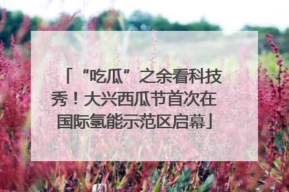 “吃瓜”之余看科技秀！大兴西瓜节首次在国际氢能示范区启幕