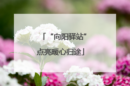 “向阳驿站”点亮暖心归途