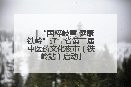 “国粹岐黄 健康铁岭”辽宁省第二届中医药文化夜市（铁岭站）启动