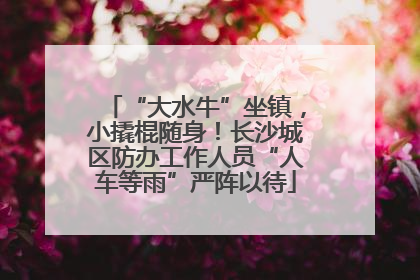 “大水牛”坐镇，小撬棍随身！长沙城区防办工作人员“人车等雨”严阵以待
