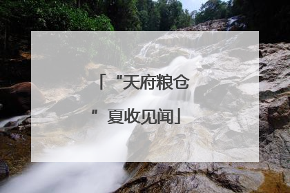 “天府粮仓”夏收见闻