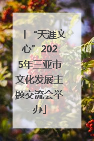 “天涯文心”2025年三亚市文化发展主题交流会举办