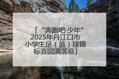 “奔跑吧·少年”2025年丹江口市小学生足（篮）球锦标赛圆满落幕