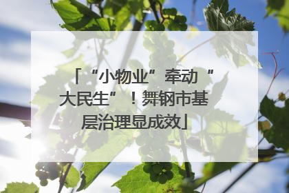 “小物业”牵动“大民生”！舞钢市基层治理显成效