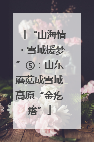 “山海情・雪域援梦”⑤：山东蘑菇成雪域高原“金疙瘩”
