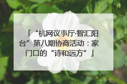 “杭网议事厅·智汇阳台”第八期协商活动：家门口的“诗和远方”