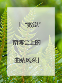 “数说”南博会上的曲靖风采