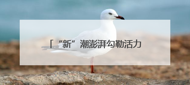 “新”潮澎湃勾勒活力“三夏耕作图” 田间地头满满“科技范儿”