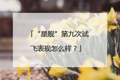 “星舰”第九次试飞表现怎么样？