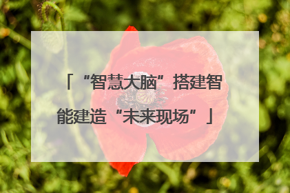“智慧大脑”搭建智能建造“未来现场”