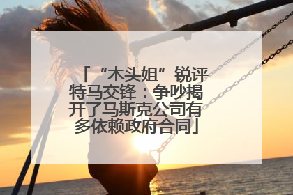 “木头姐”锐评特马交锋：争吵揭开了马斯克公司有多依赖政府合同