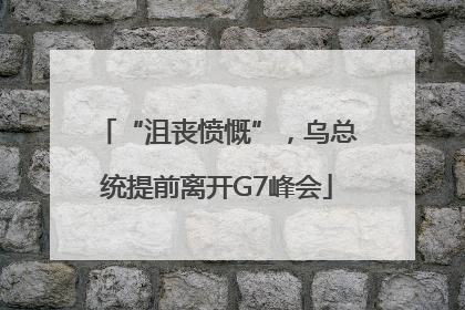“沮丧愤慨”，乌总统提前离开G7峰会
