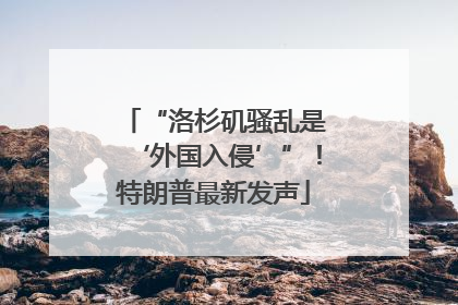 “洛杉矶骚乱是‘外国入侵’”！特朗普最新发声