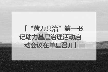 “菏力共治”第一书记助力基层治理活动启动会议在单县召开
