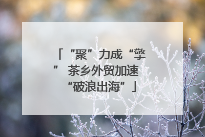 “聚”力成“擎” 茶乡外贸加速“破浪出海”